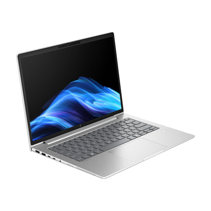 HP EliteBook 6 G1a 14 Pike Silver, slīpi